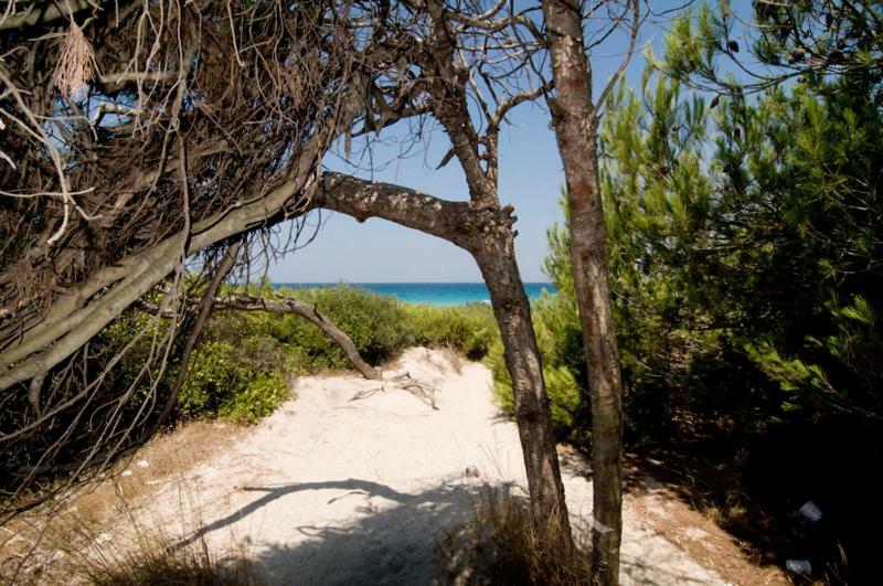 Casa Direttamente Sul Mare Βίλα Marina di Mancaversa Εξωτερικό φωτογραφία